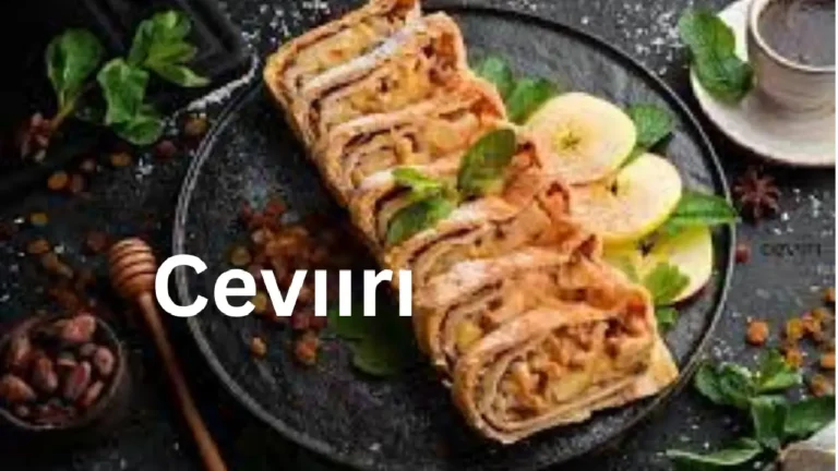 Discover Cevıırı: Taste Sensation!