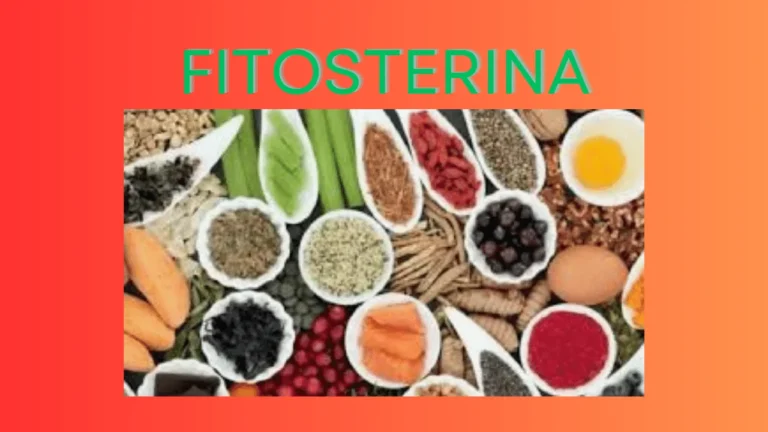 Fitosterina: Exploring the Potential Health Benefits