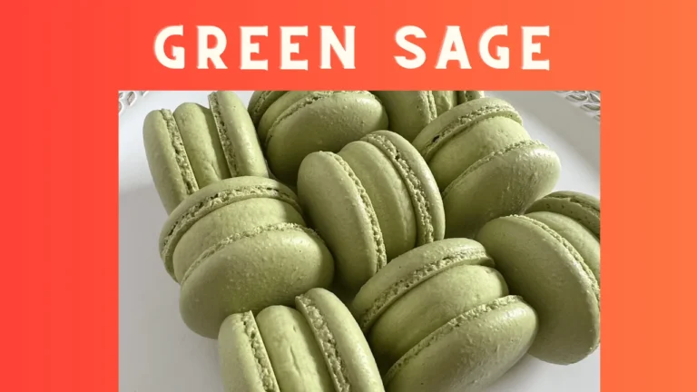 Green Sage [Cafe]