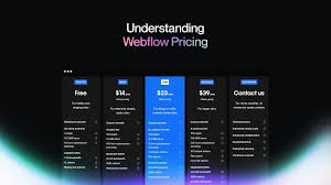 webflow cost