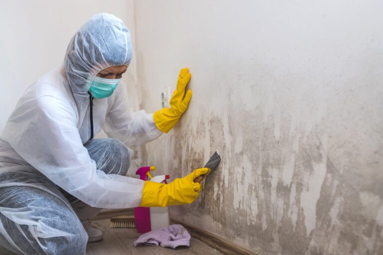 Mold Remediation: Protecting Your Home and Health